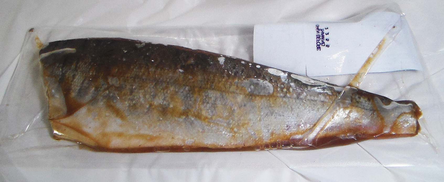 Vacuum Packaging Machine Benefits U.S. Packaging & Wrapping